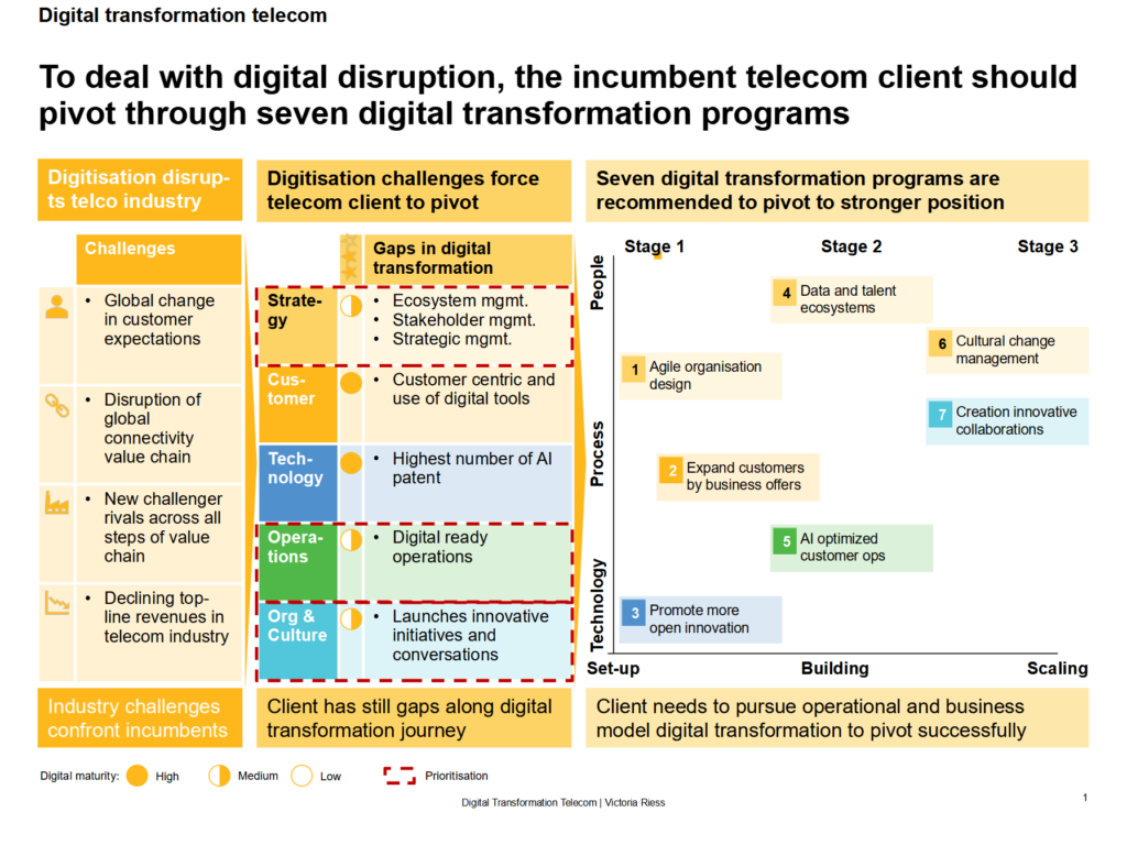 victoria-riess-digital-transformation-strategy-for-telecommunication-companies